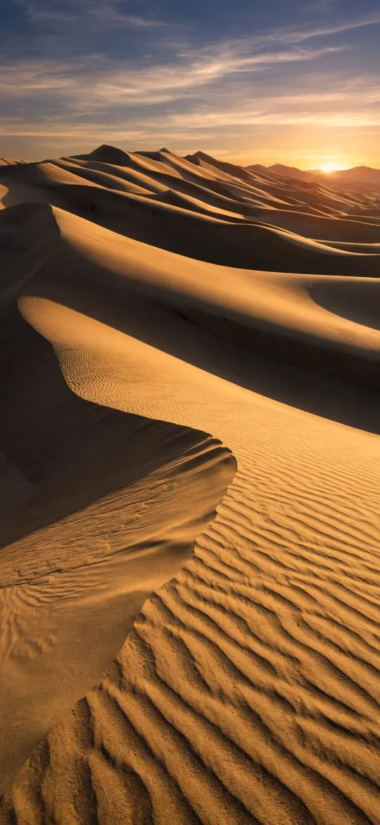 Golden sand dunes with wind ripples and long shadows under a sunset sky