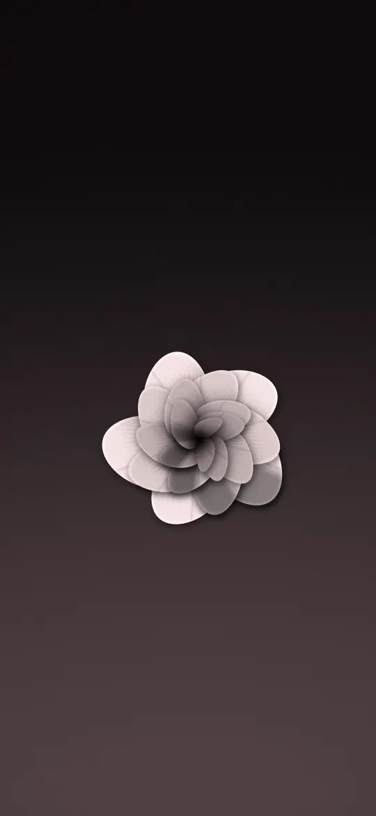 Blush Rose on Mauve: a layered blush rose seen from above sits on a dusky mauve background, iPhone wallpaper