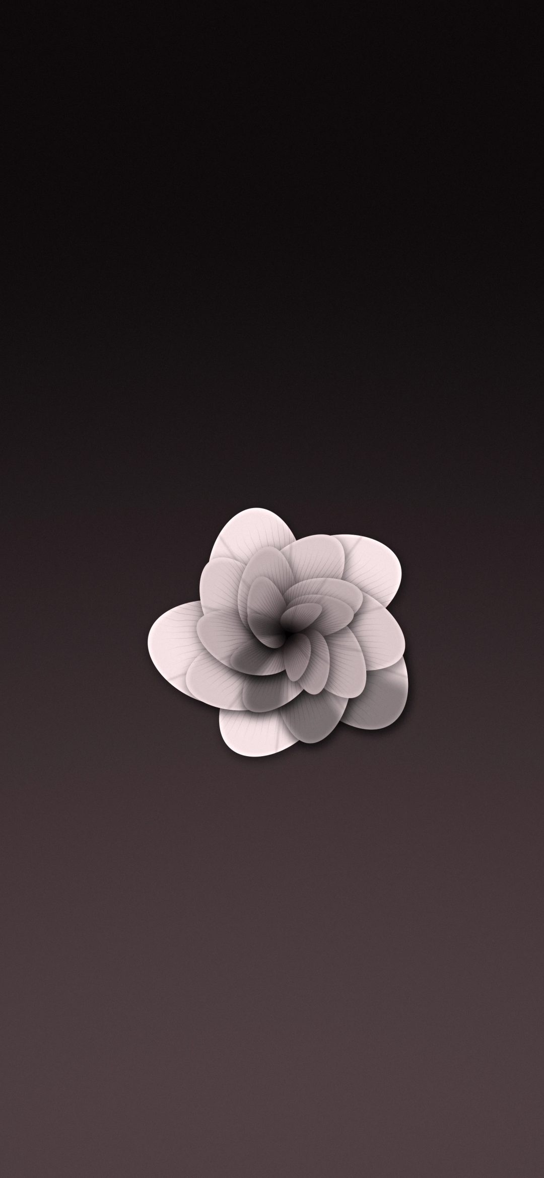 Blush Rose on Mauve: a layered blush rose seen from above sits on a dusky mauve background, iPhone wallpaper