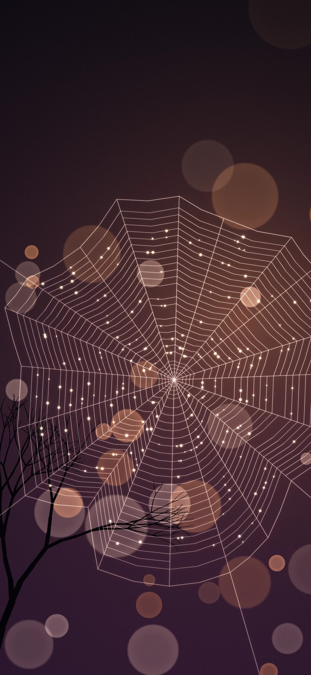 Dewy Spider Web: a delicate spider web strung with glowing dew drops shines against soft peach and orange bokeh on a dark plum night, above a bare twig, iPhone wallpaper