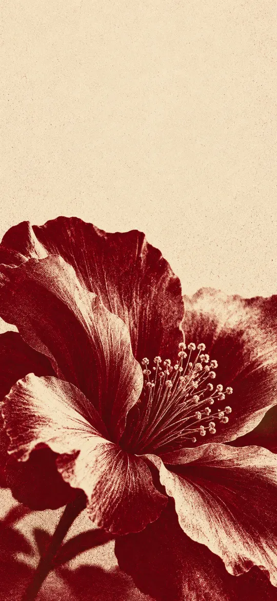 Large burgundy flower on a cream background with vintage grain and halftone texture