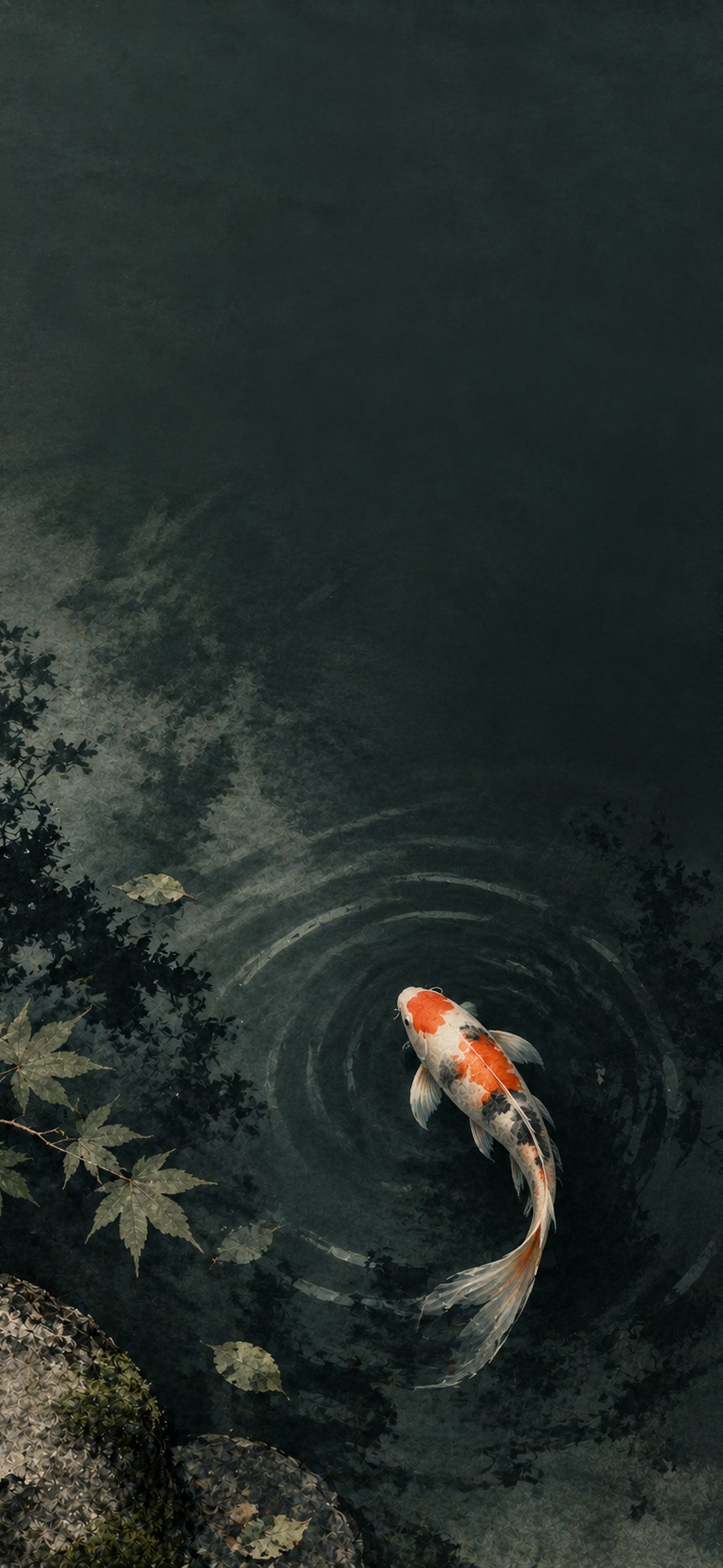 Orange and white koi fish swimming in a dark green pond with ripples