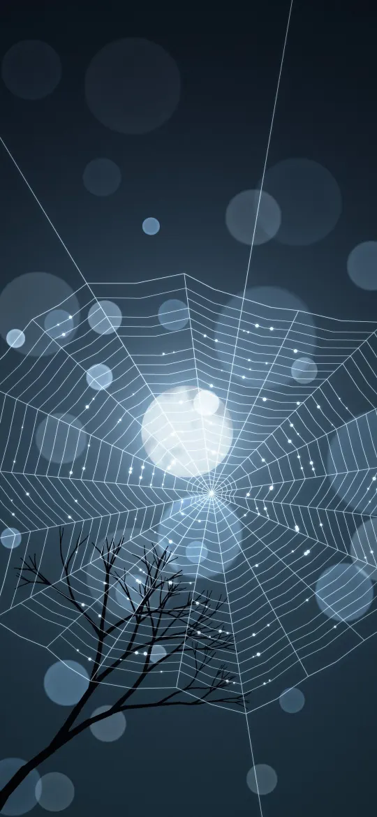 Moonlit Silk Web: a silvery spider web glistens with dew in front of a full moon, its fine threads lit pale blue against a cold dark night sky, iPhone wallpaper