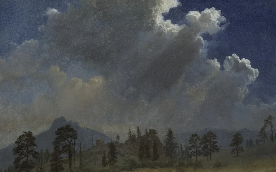 Large storm clouds above fir trees and a distant mountain