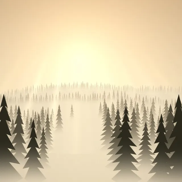 Sunlit Spruce Valley: golden sunbeams stream through warm morning fog into a valley of spruce trees, each row of trees paler than the one before, iPad wallpaper