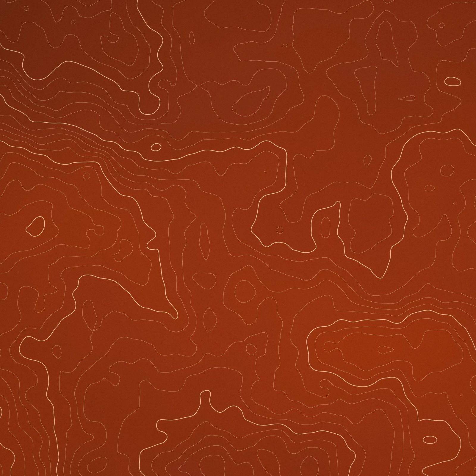 Terracotta Contours: pale contour lines trace hills and valleys across warm terracotta, an earthy topographic pattern, iPad wallpaper