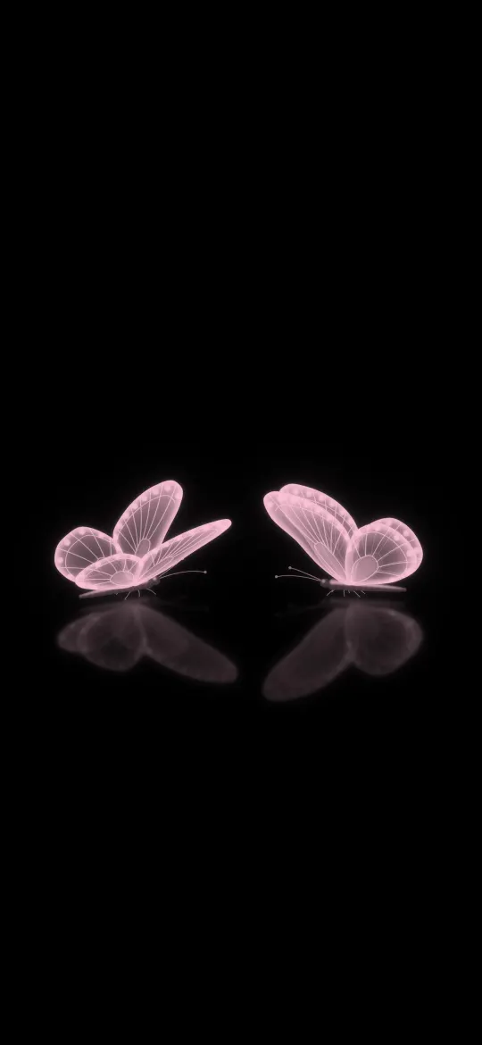 Two Pink Glow Butterflies: two glowing pink butterflies face each other on a black mirror, their reflections fading below, iPhone wallpaper